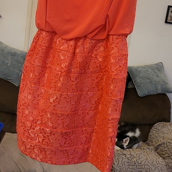 Dress - Picture 2 of 6